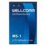 Wellcomm Battery Double IC M-S1
